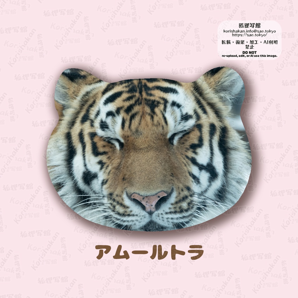 ねこみみ缶バッジ(キツネとネコ科)