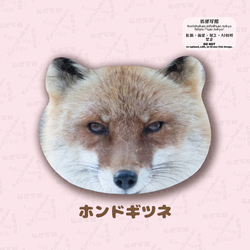 ねこみみ缶バッジ(キツネとネコ科)