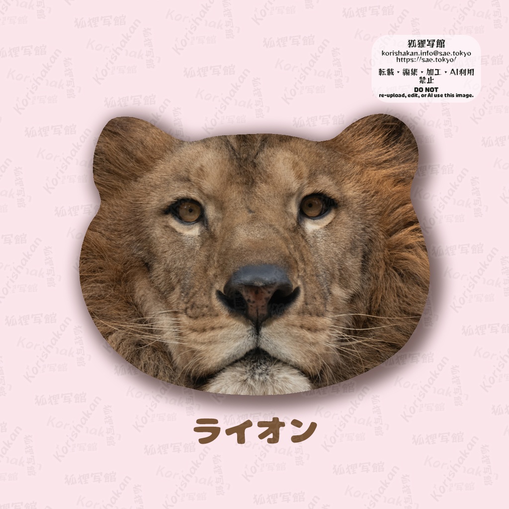 ねこみみ缶バッジ(キツネとネコ科)