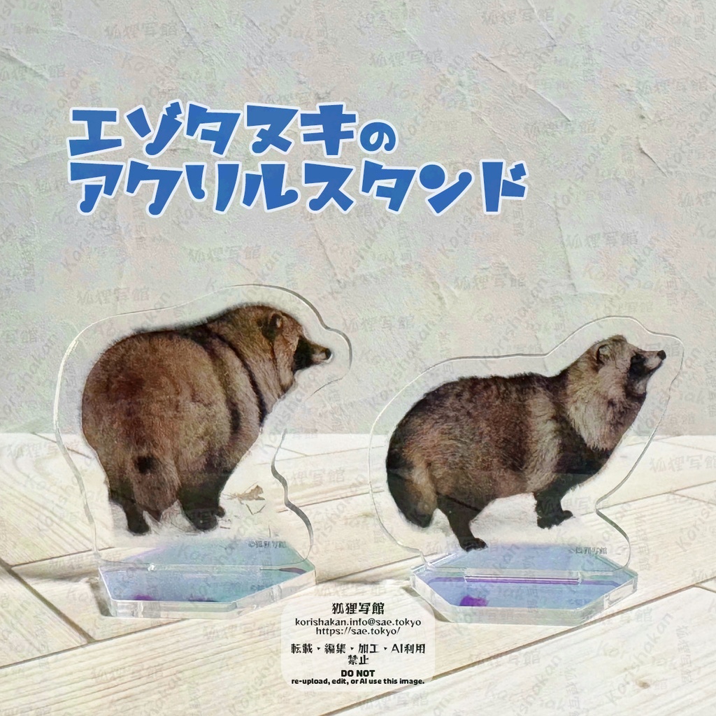 エゾタヌキのアクリルスタンド（冬の姿）
