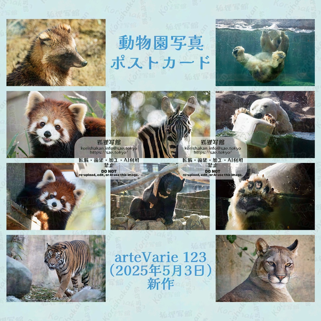 動物写真ポストカード(2025年5月)