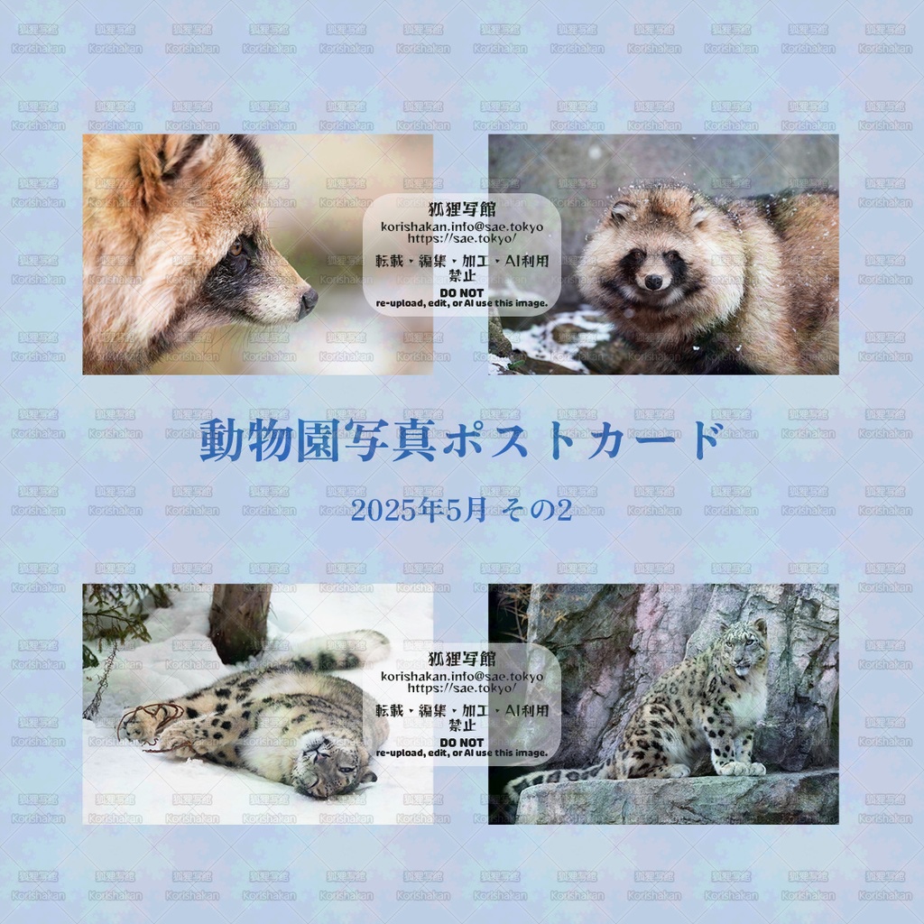動物園写真ポストカード（2025年5月その2）