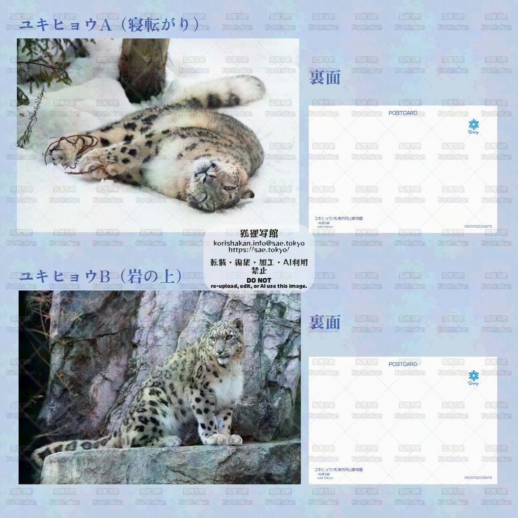 動物園写真ポストカード(2025年5月その2)