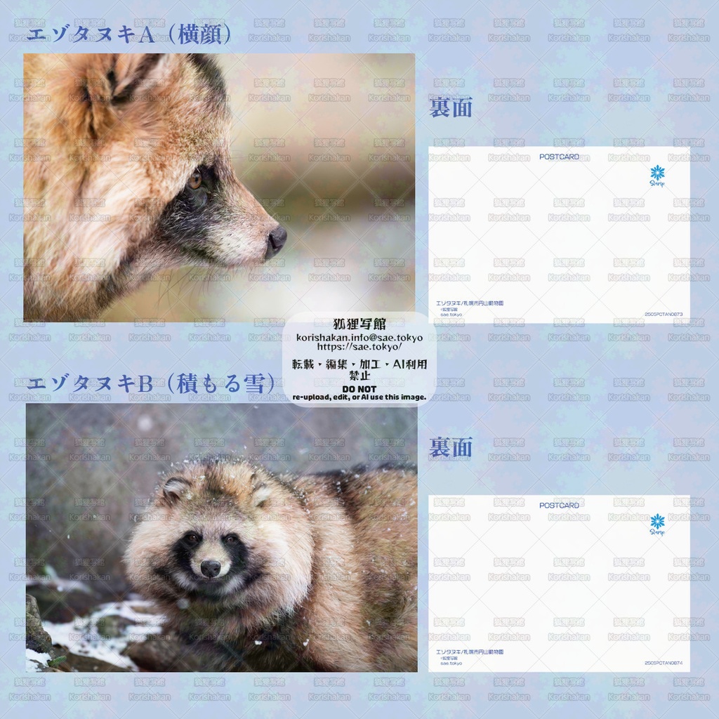 動物園写真ポストカード(2025年5月その2)