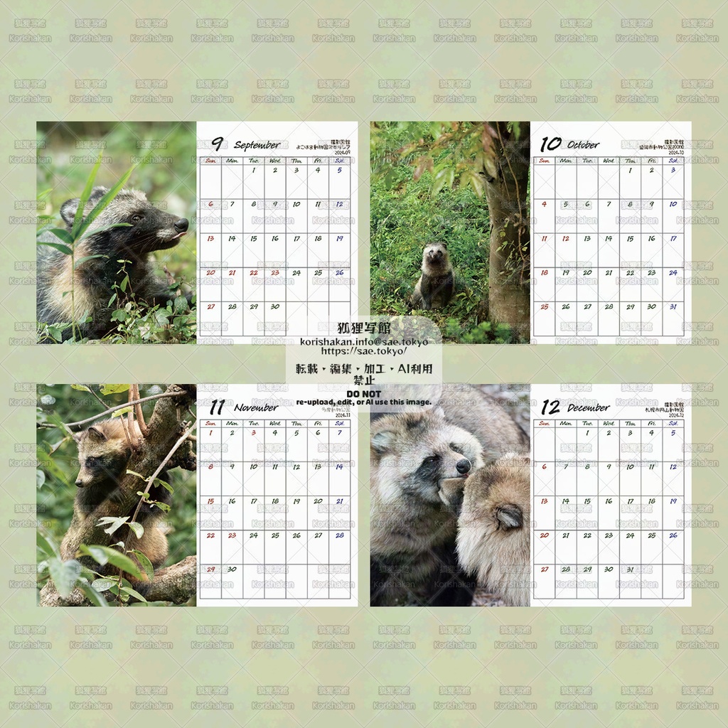 【11月10日以降に在庫追加予定】タヌキカレンダー2026