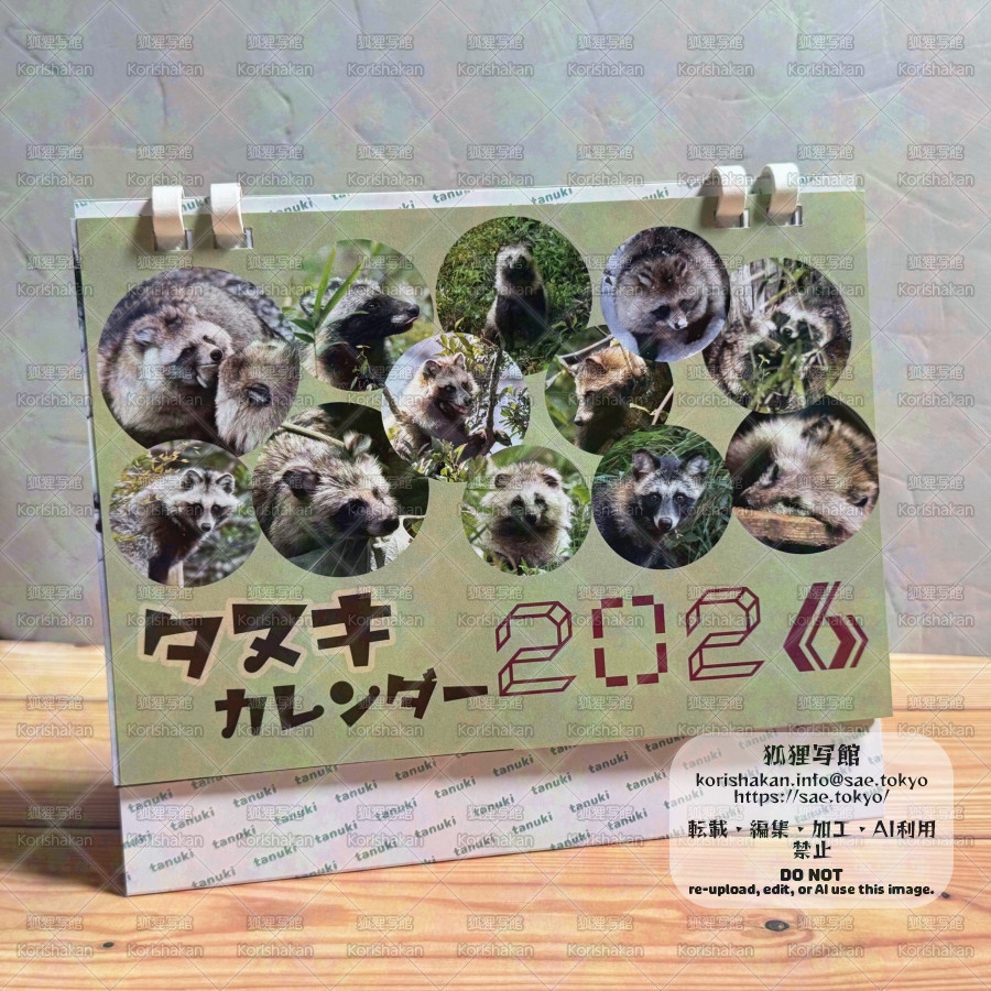 タヌキカレンダー2026