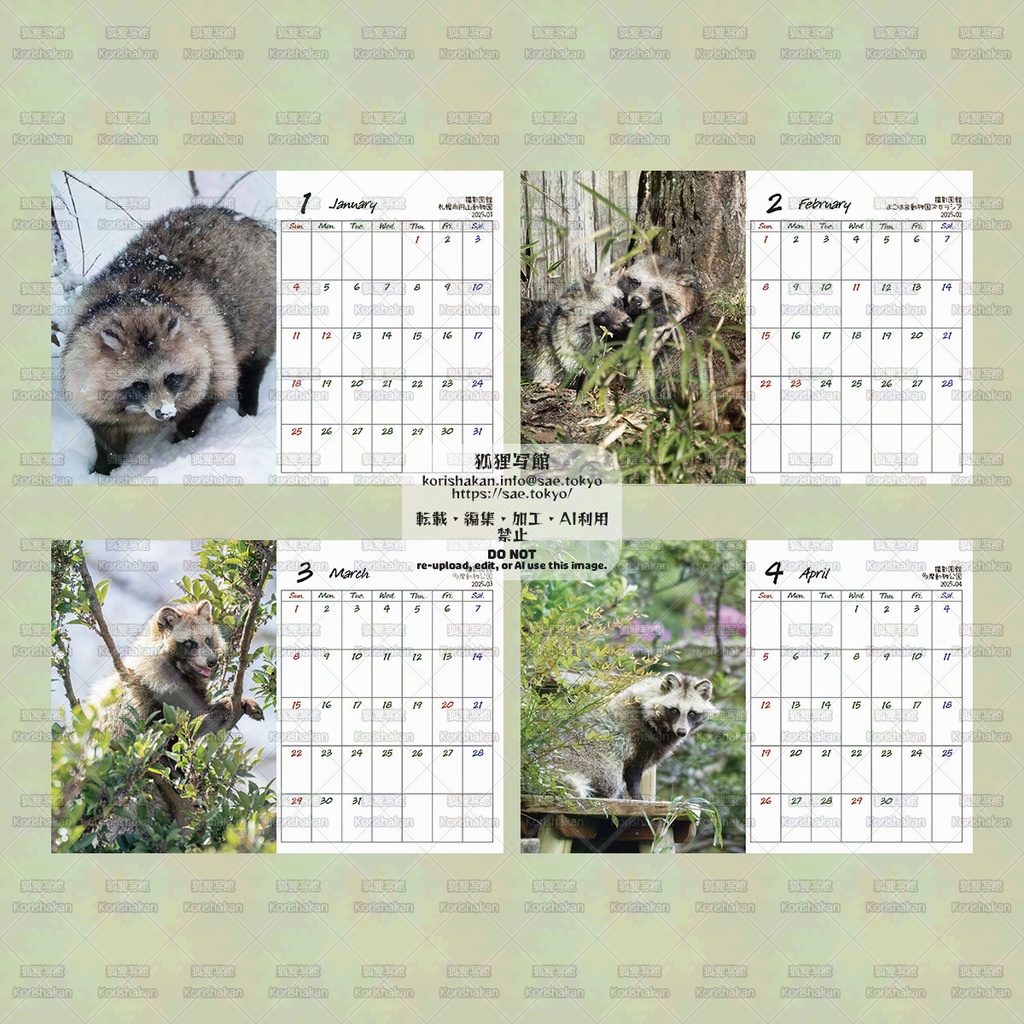 【11月10日以降に在庫追加予定】タヌキカレンダー2026