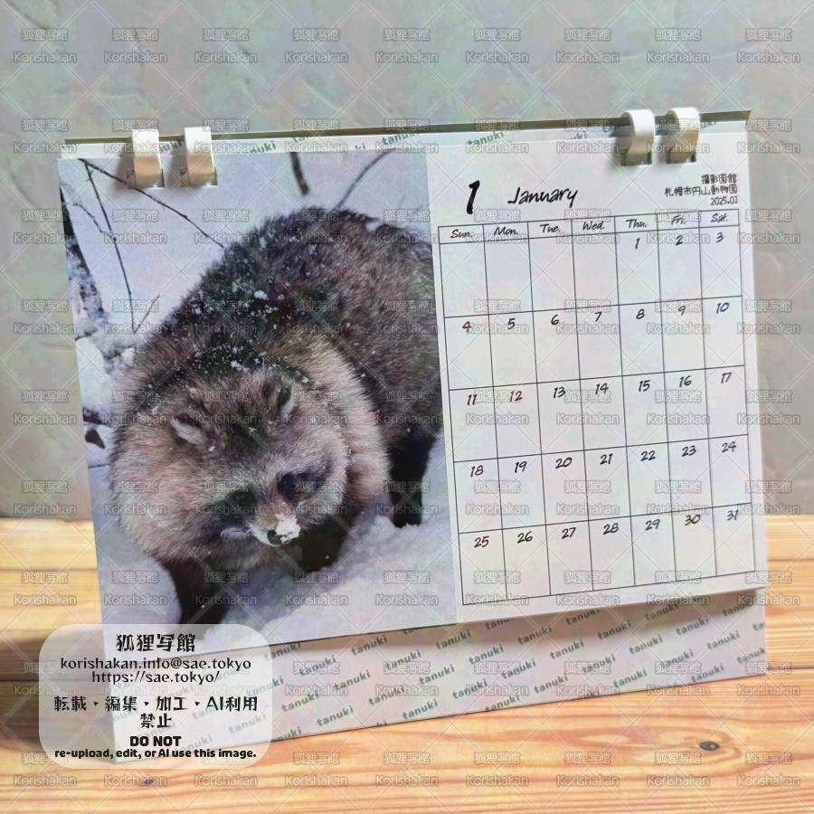 【11月10日以降に在庫追加予定】タヌキカレンダー2026