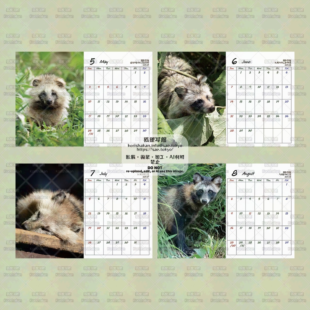 【11月10日以降に在庫追加予定】タヌキカレンダー2026