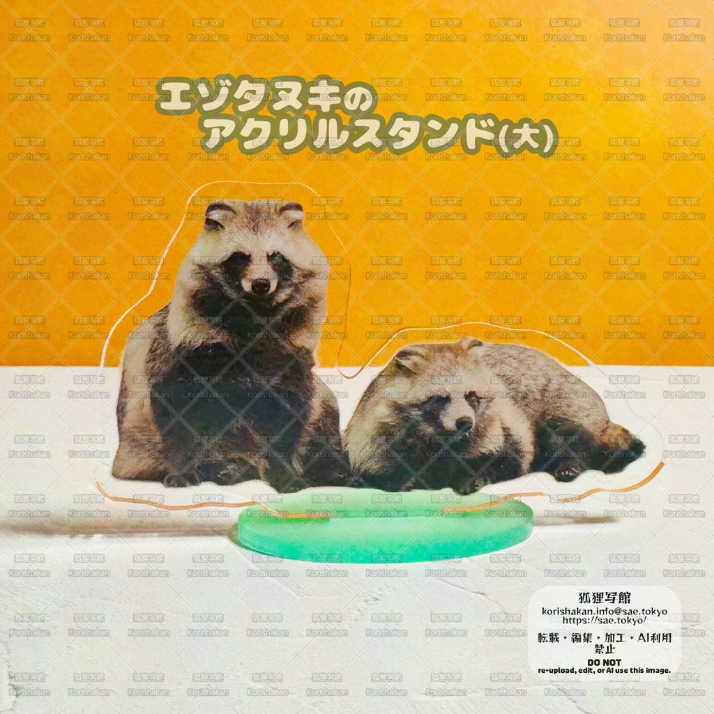 エゾタヌキのアクリルスタンド（大）