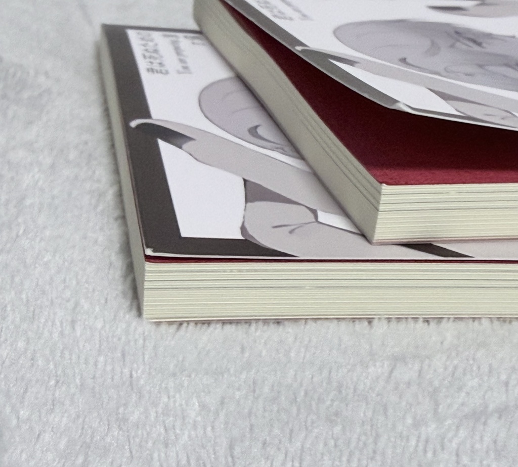 【B級品】君は死ぬための準備をしている
