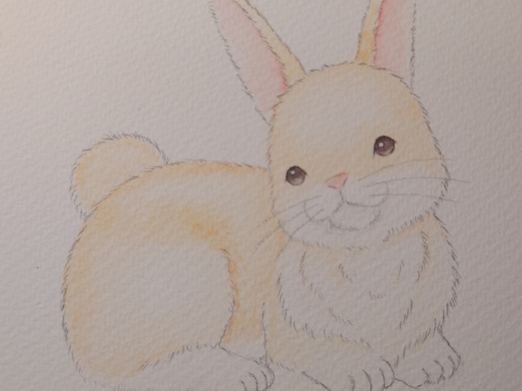 ミニ色紙 ウサギ