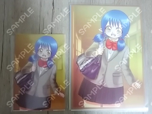 Asshamポストカードセット/フライヤーセット