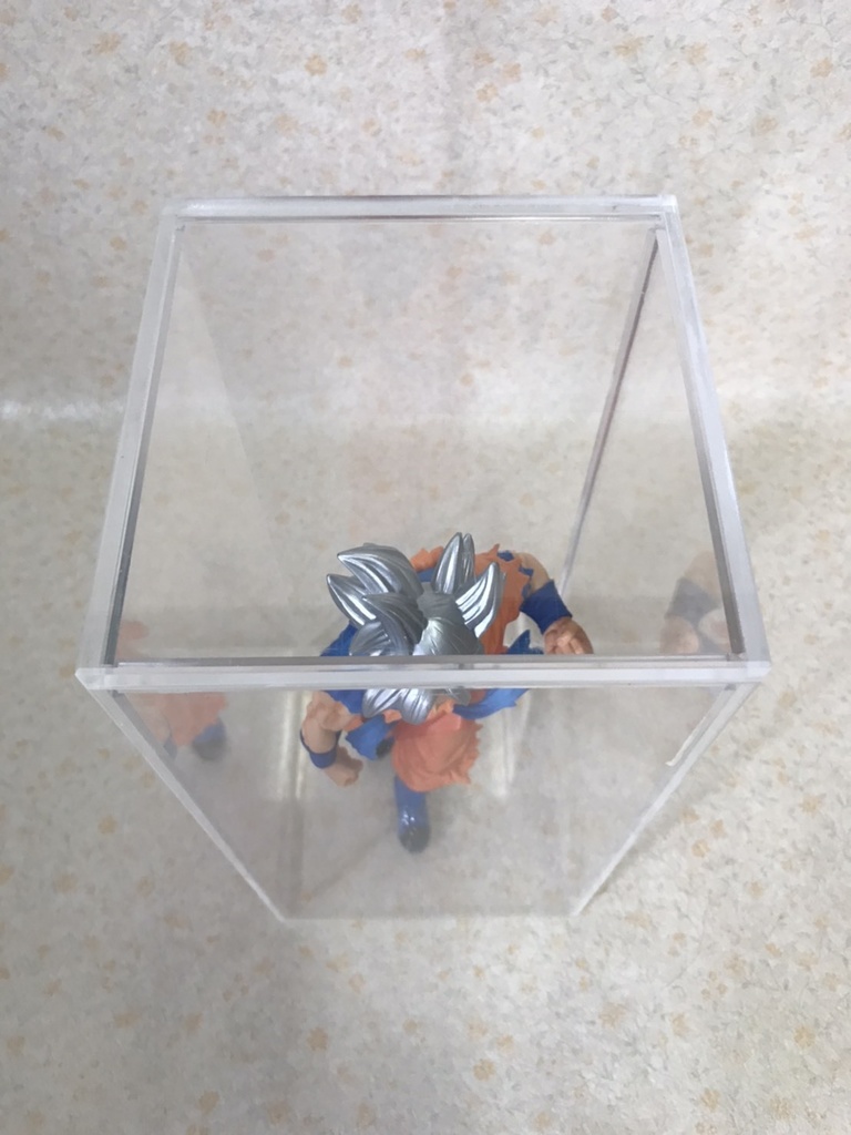 アクリル・レクタングルケース フリーサイズL