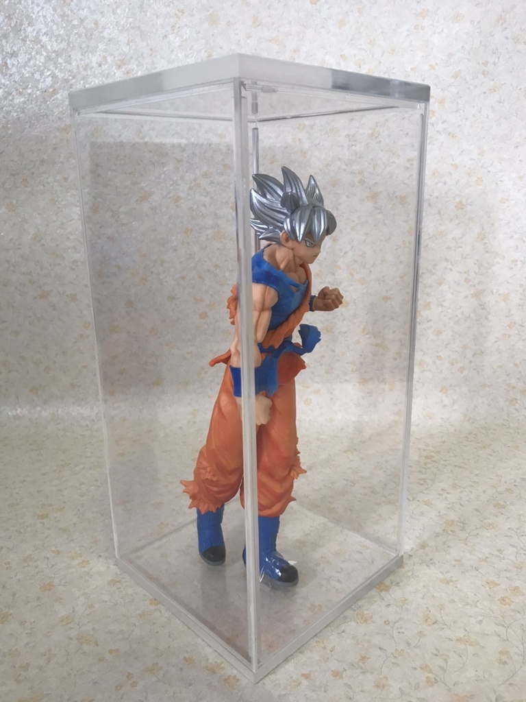 アクリル・レクタングルケース フリーサイズL