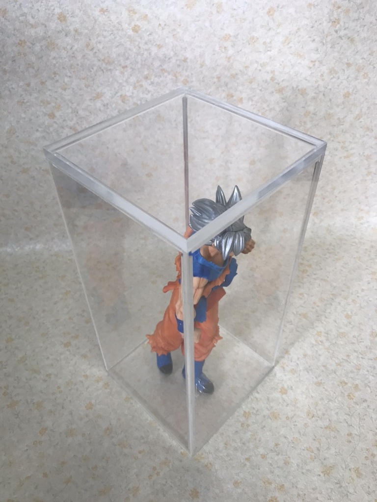 アクリル・レクタングルケース フリーサイズS