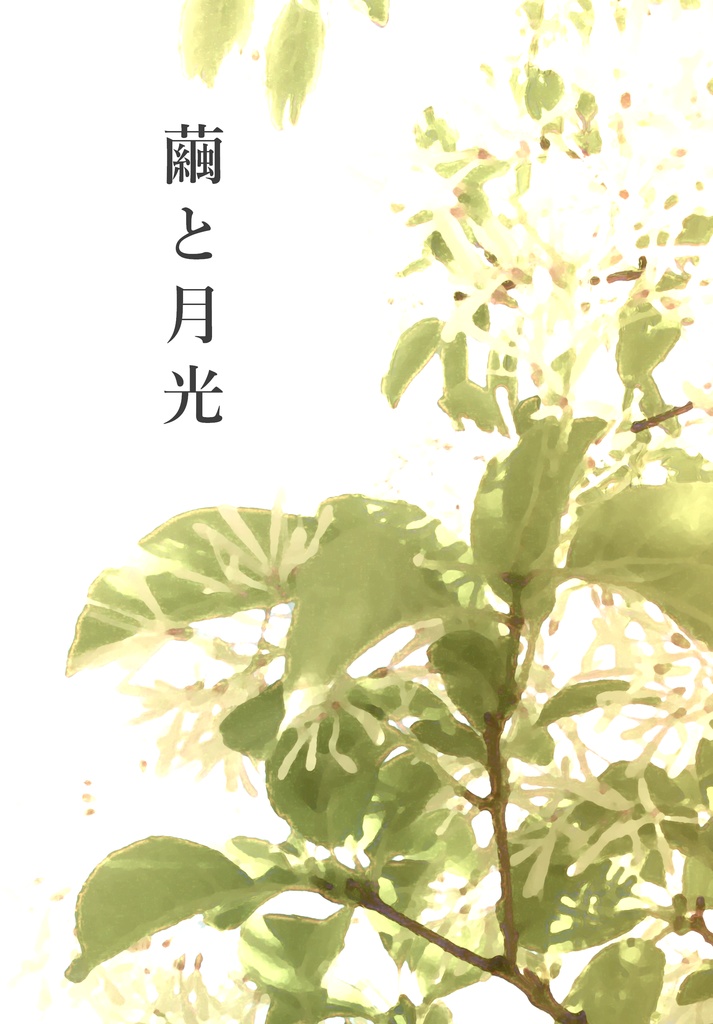 繭と月光