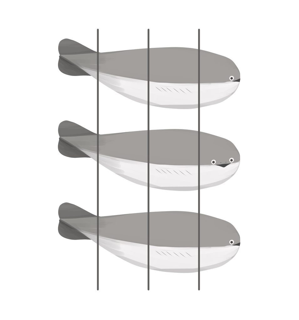 サカバンバスピスTシャツ【モノクロ】