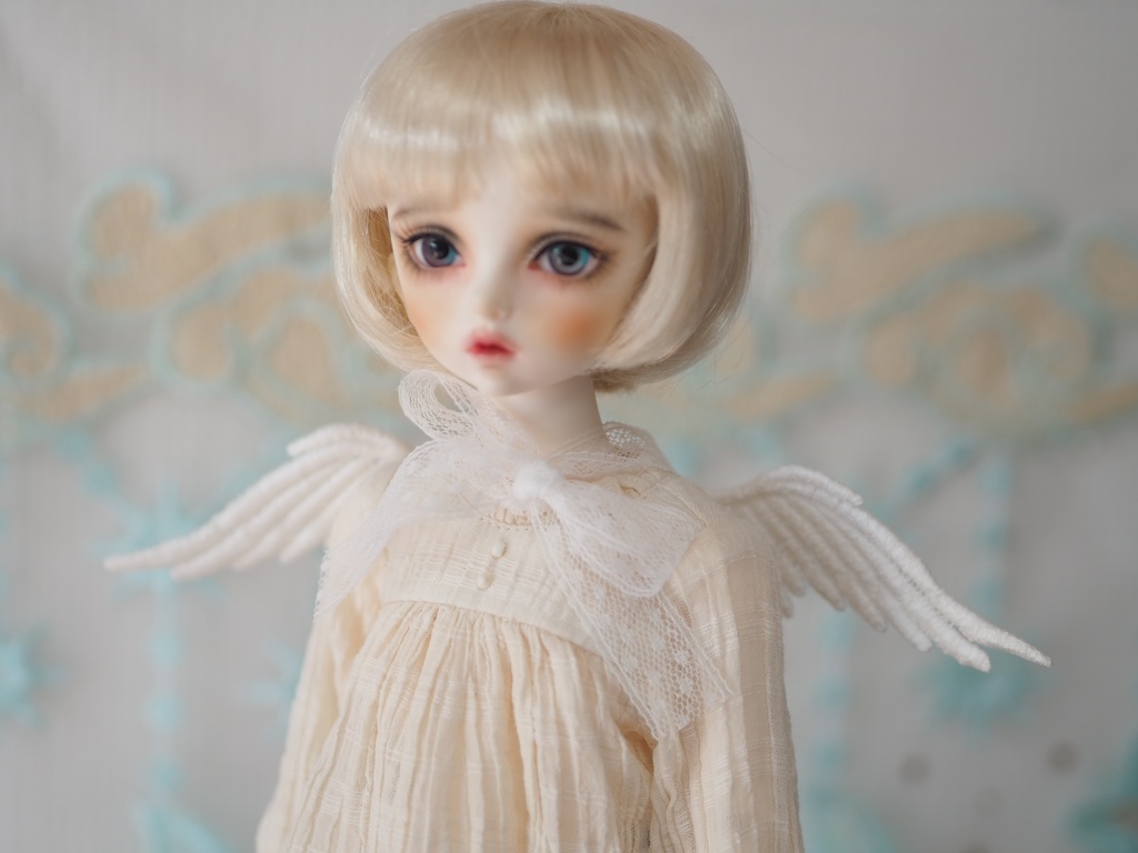 天使の羽根M 幼SD SDM MDD MSD