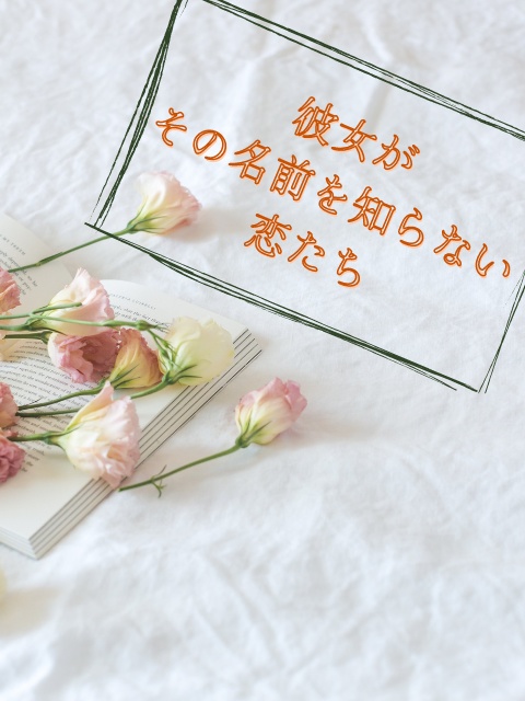 彼女がその名前を知らない恋たち