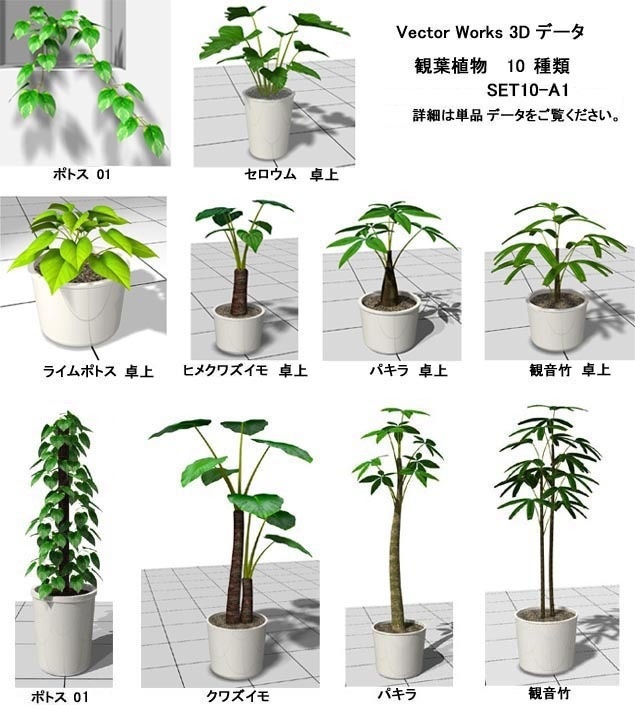VectorWorks 観葉植物 A1 SET10 v10～v12.5・vw2014