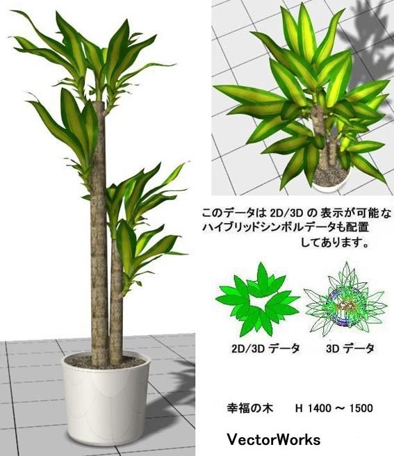 Vectorworks 観葉植物 Set10 V10 V12 5 Vw14 Do Box Booth