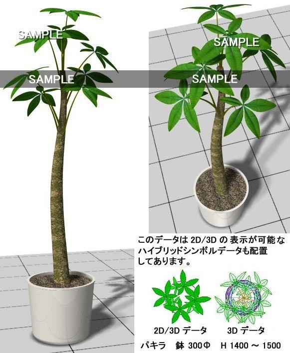 VectorWorks パキラ　鉢植 v10～v12.5 / vw2014