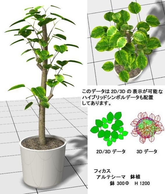 VectorWorks ﾌｨｶｽ ｱﾙﾃｼｰﾏ 鉢植 v10～v12.5/vw2014