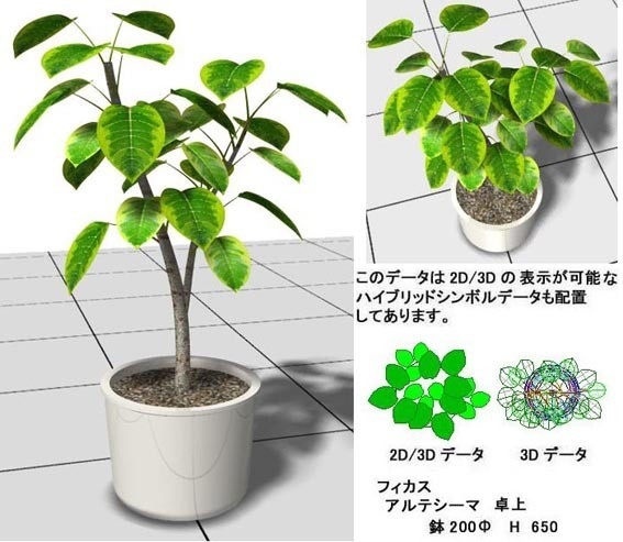 vectorworks ﾌｨｶｽ ｱﾙﾃｼｰﾏ 卓上 v10～v12.5/vw2014
