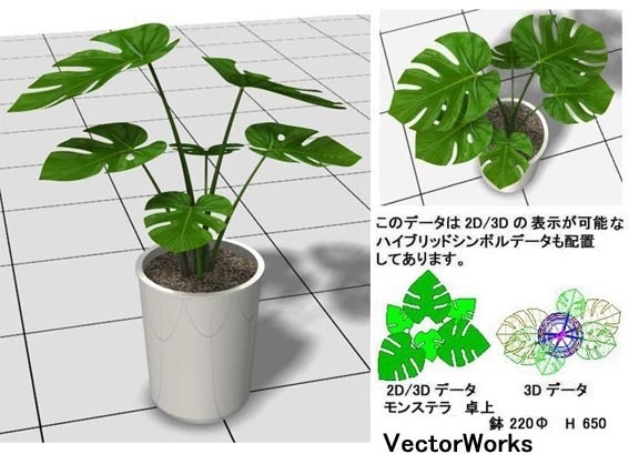 Vectorworks 3d ﾓﾝｽﾃﾗ卓上 v10～v12.5/vw2014