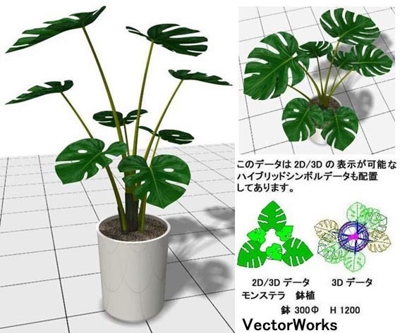 Vectorworks 3d ﾓﾝｽﾃﾗ鉢植 v10～v12.5/vw2014