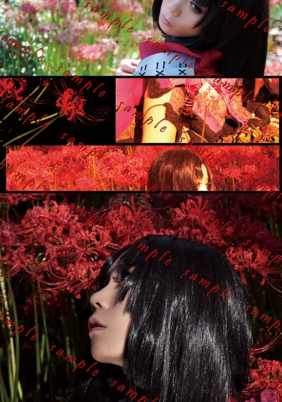 染めたるは、緋の色。