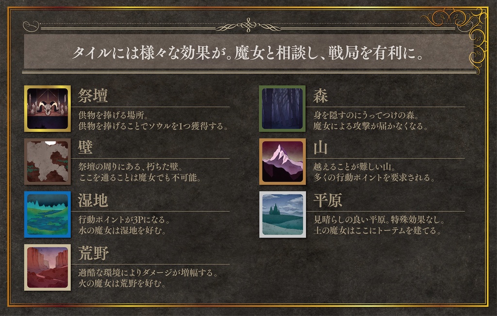 ウィッチ・スプラウト本体一箱