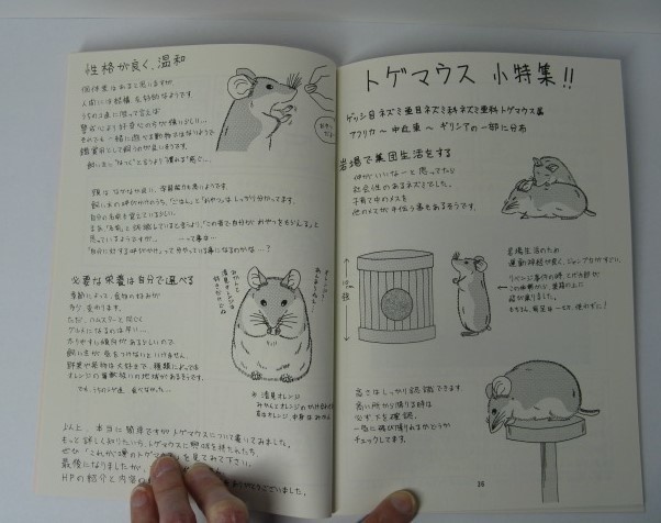 ねずみ日和 2~12 既刊11冊セット