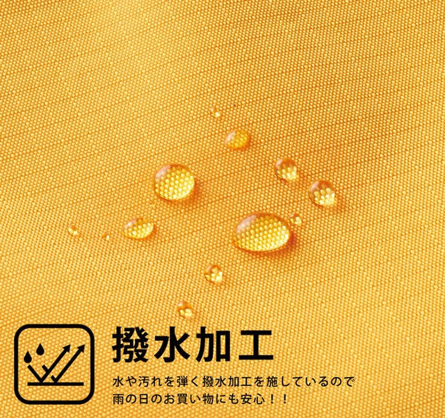 新DATAMAN'S エコバック