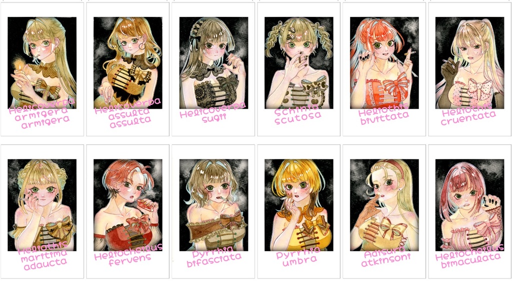 【チェキ風カード】yー•~ girlsランダムチェキ風カード（全12種類）