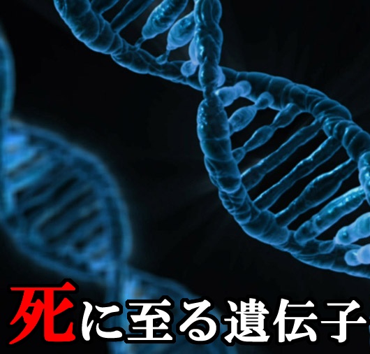 死に至る遺伝子:クトゥルフ神話TRPGシナリオ