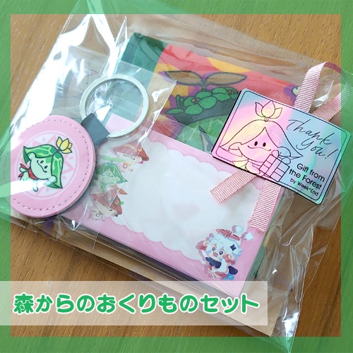 森からのおくりものセット