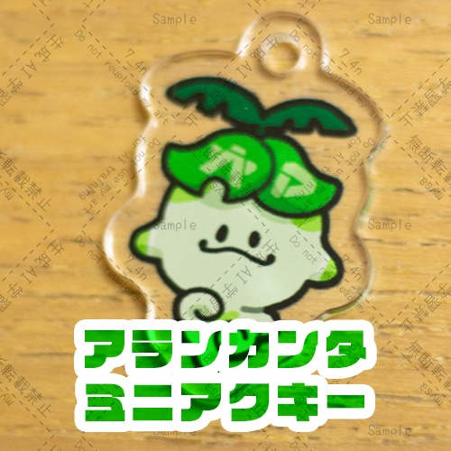 アランカンタのミニアクキー