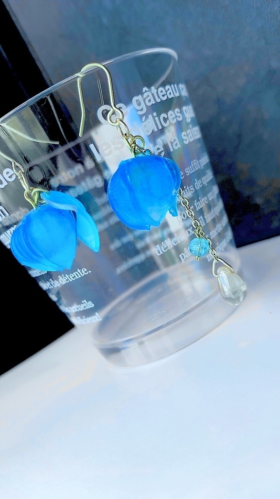 赤と青の色違い鬼灯のピアス