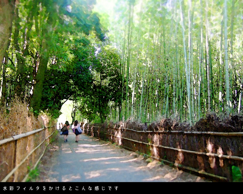 写真素材集01 夏の京都