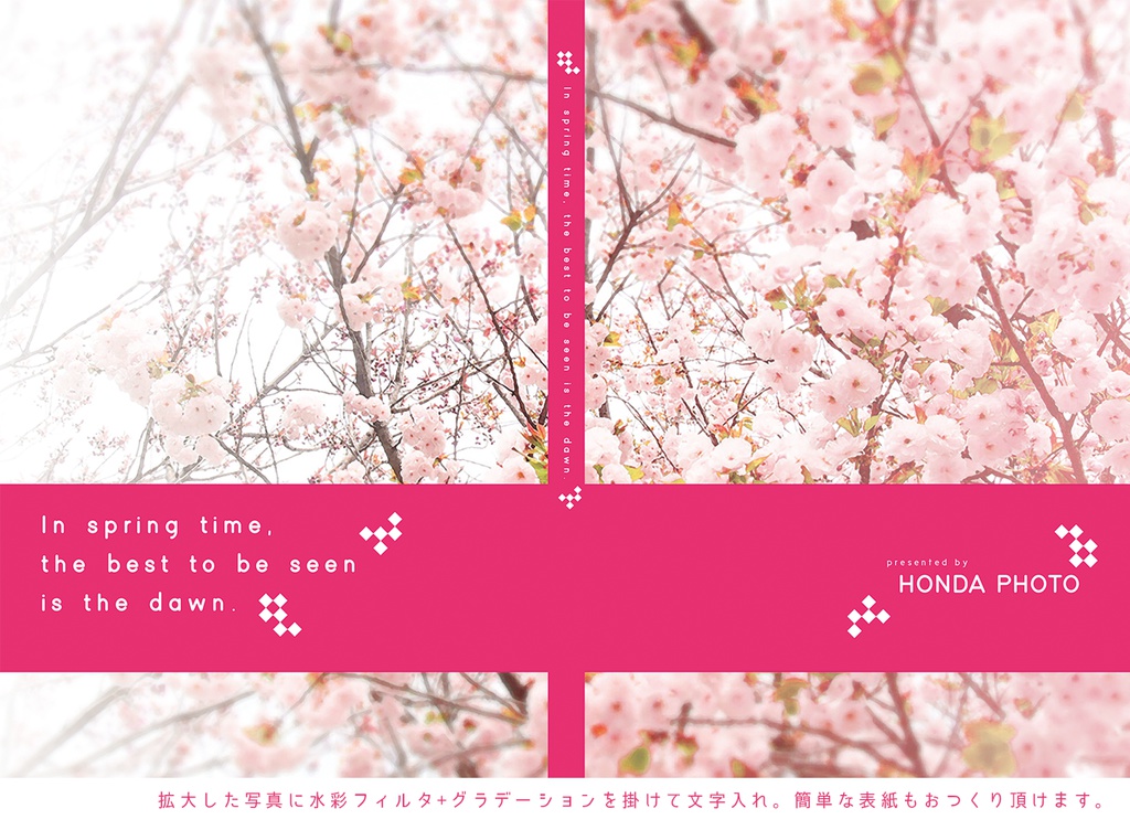 写真素材集02 フラワーシャワー