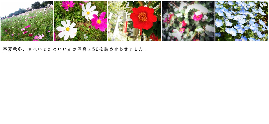 写真素材集02 フラワーシャワー