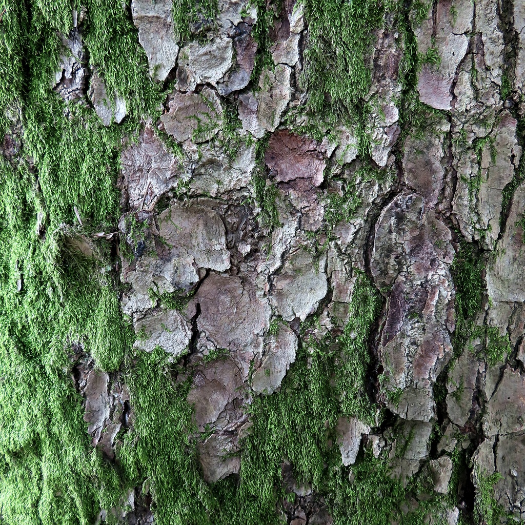 木目調のテクスチャ 96項目