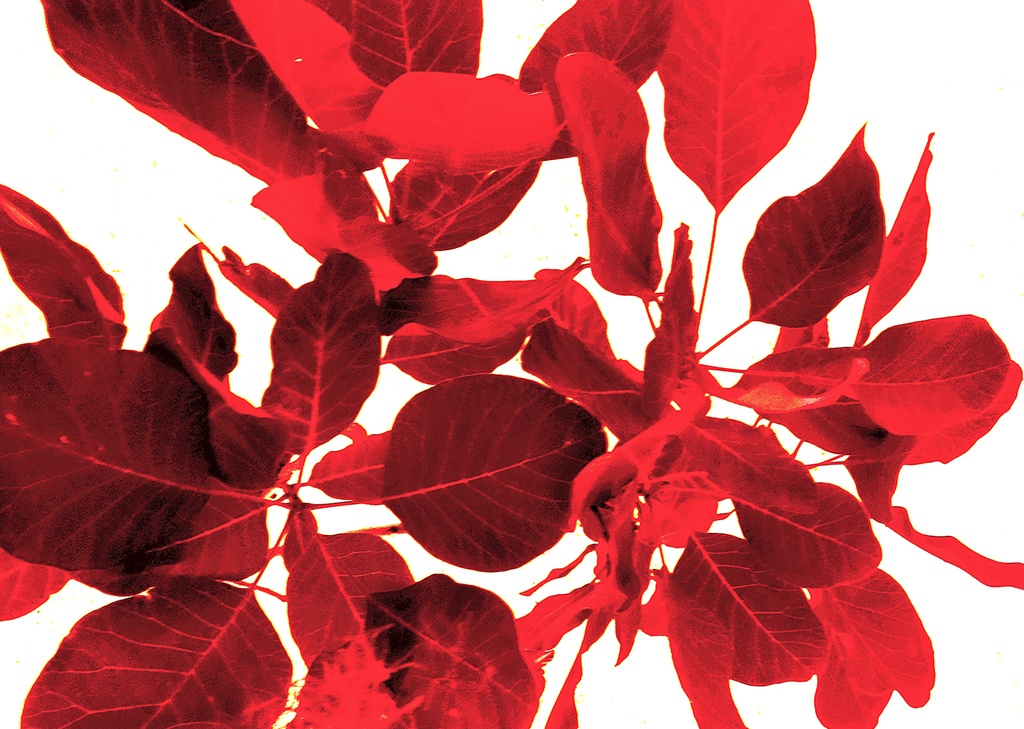 赤紅のテクスチャ 95項目