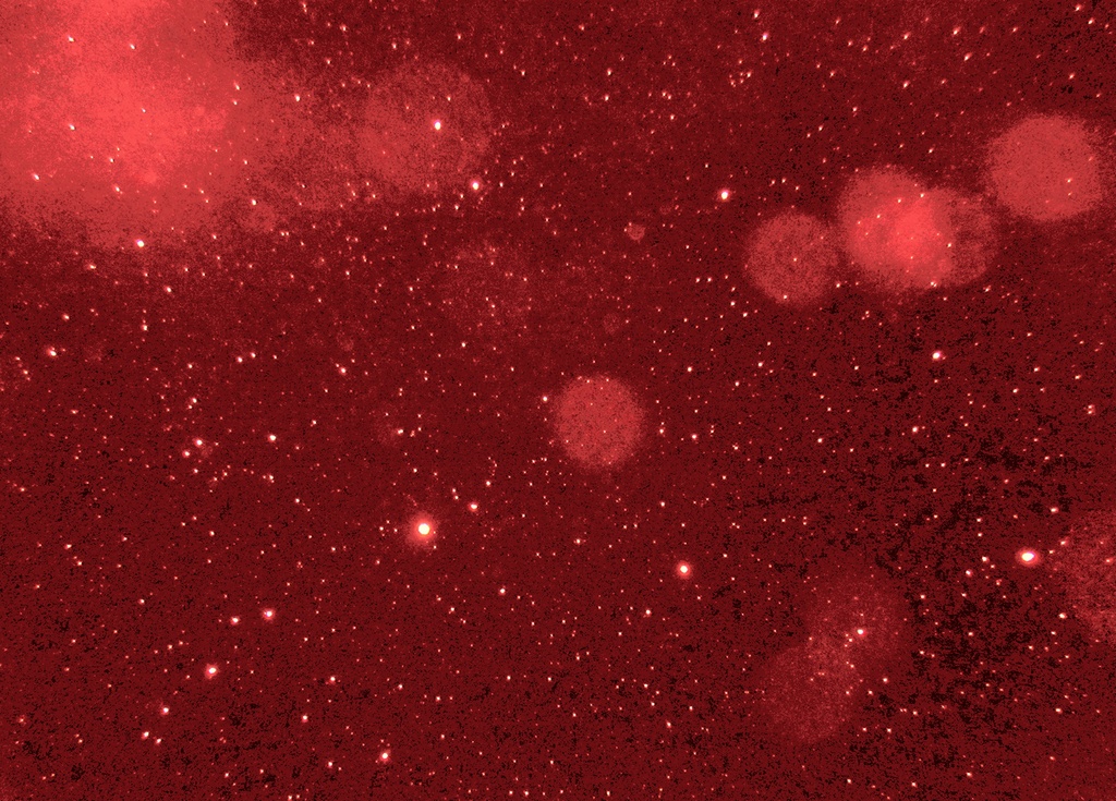 赤紅のテクスチャ 95項目