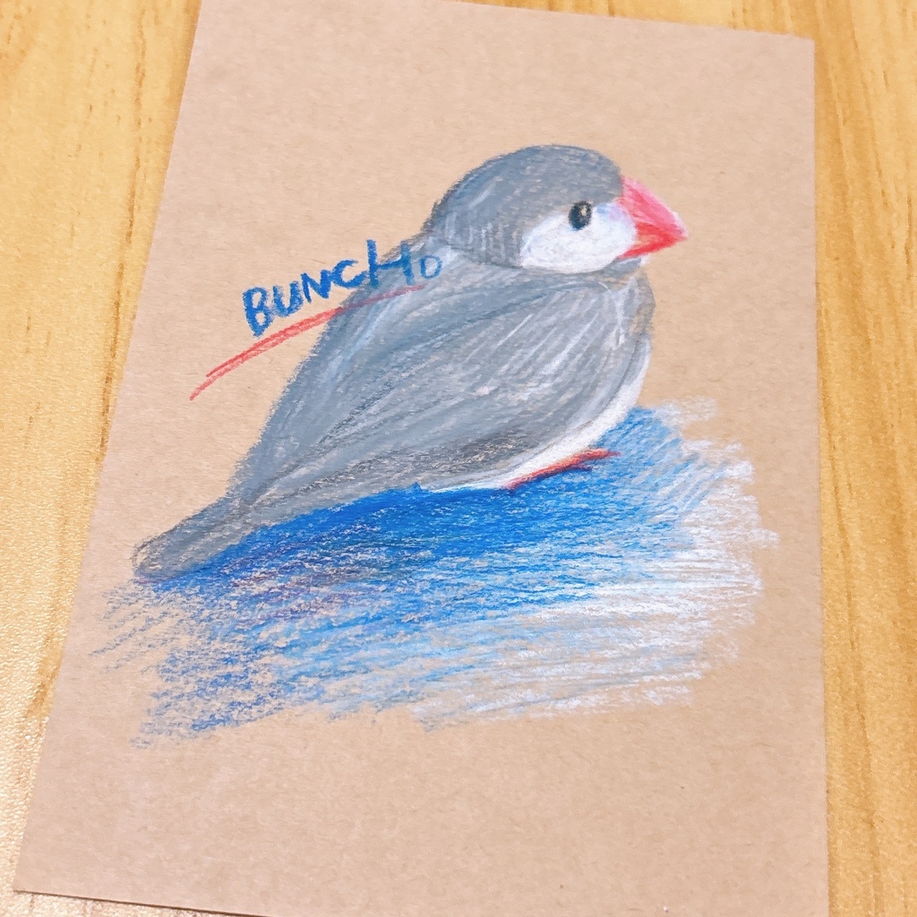 ハガキサイズ原画【シルバー文鳥の背中】