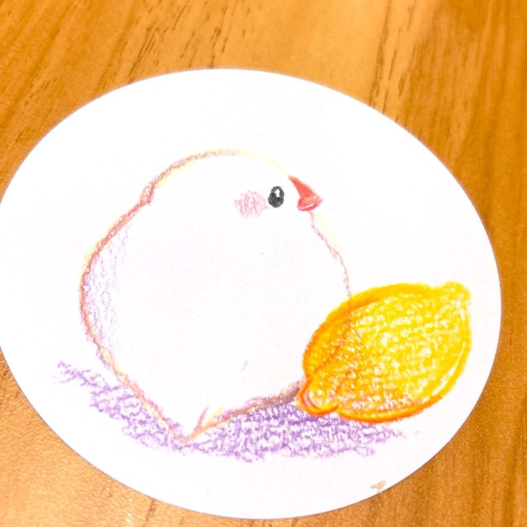 まんまる原画【レモン文鳥】