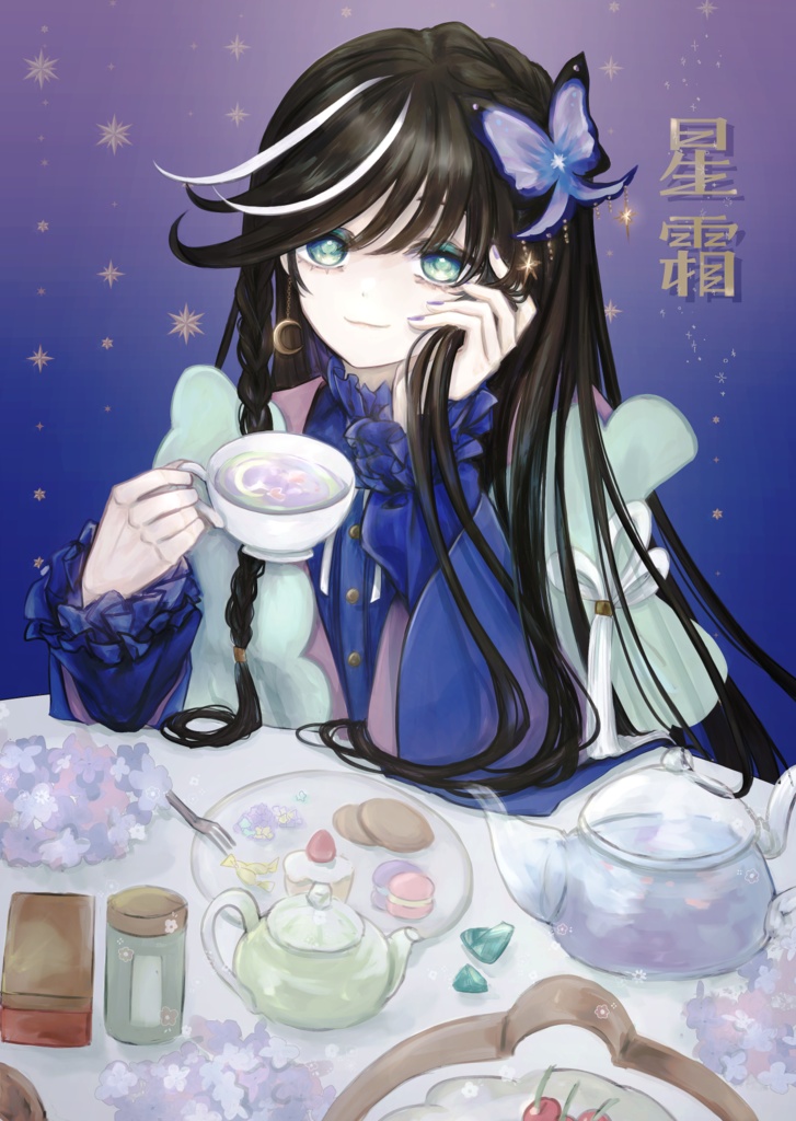 画集「星霜」