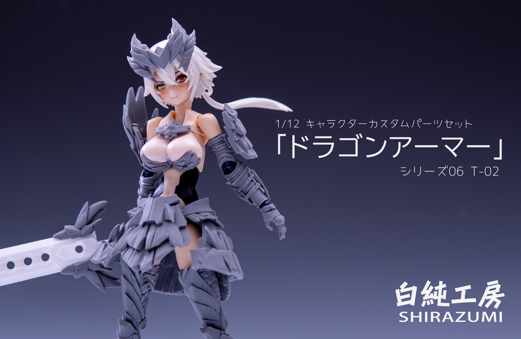 「ドラゴンアーマー」 1/12キャラクターパーツセット